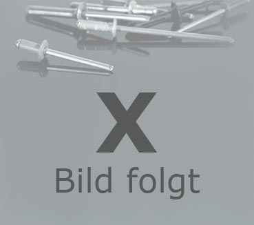 Zugspindel Nietmutternzange VNG 361